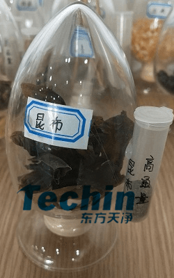 昆布茄子视频网站前后