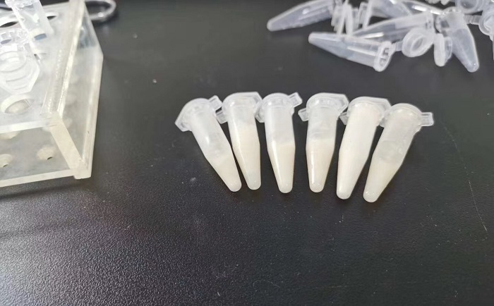 猪肉组织茄子视频网站后